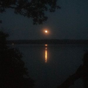 Meet your Posher, Steve